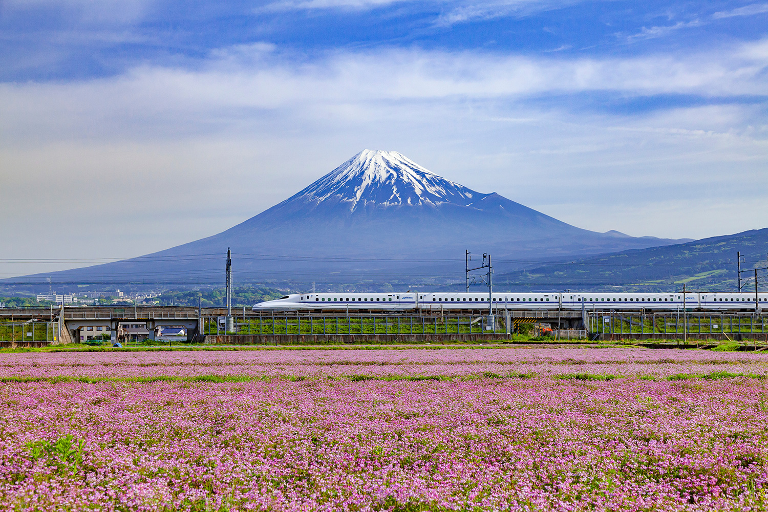 春の富士山